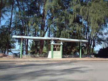 bilene33