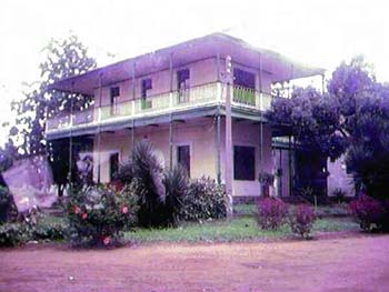 boane03