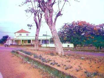 boane06