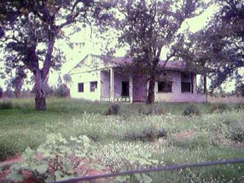 boane17