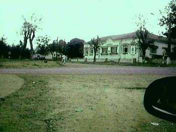 boane19