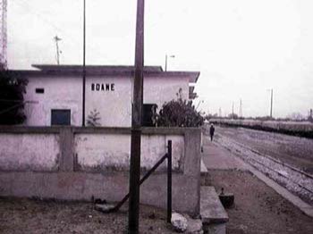 boane20