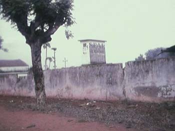 boane23