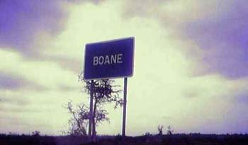 boane01