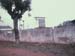boane23