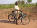boane24