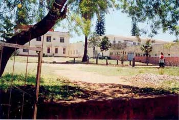 pery33