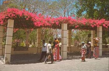 ilha_013