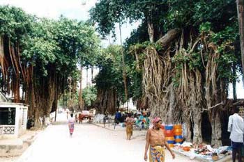ilha_092