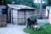 lmb_26